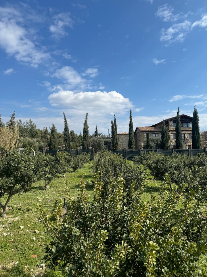 The stone house at Marquem Çeşme among a green garden and trees